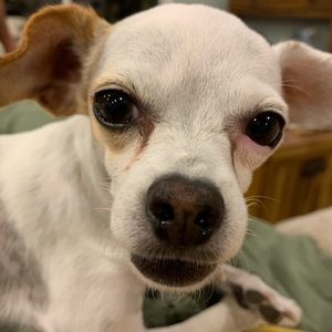 Meet your Posher, Adriana